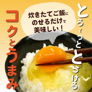 かぐやひめ「初たまご」40個【福岡上毛町産】_C01604