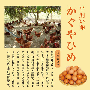 かぐやひめ「初たまご」40個【福岡上毛町産】_C01604