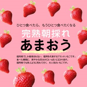 【完熟朝採れ】福岡県産ブランドいちご(3月-5月配送)あまおう(約270g×6パック)_R00403