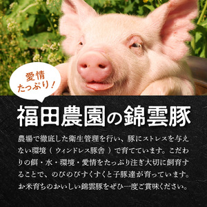 【ブランド豚肉】お米育ちの「錦雲豚」　ロース生ハム　3パック_FN1305