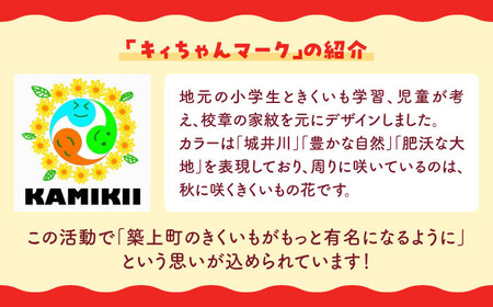 築上 きくいも ふりかけ 3袋 《築上町》【合同会社豊築マルシェモンステラ】 ご飯のお供 おかず [ABBZ013] 7000円 7千円