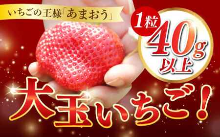 あまおう 12粒 【1月中旬以降順次発送】 あまおう [ABAG006] 