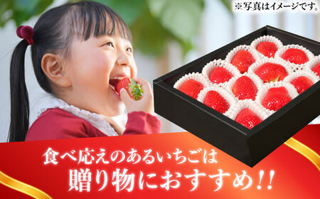 あまおう 12粒 【1月中旬以降順次発送】 あまおう [ABAG006] 