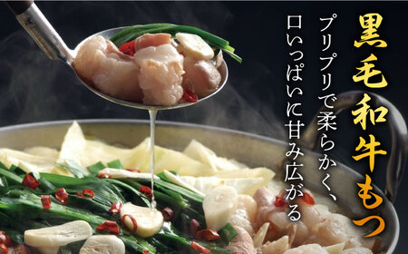 博多もつ鍋 西新初喜のもつ鍋セット 辛味4‐6人前(野菜あり) 【離島配送不可】 [ABDA012] 