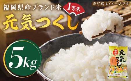 新米・令和5年産】福岡県産ブランド米「元気つくし」白米 5kg《築上町