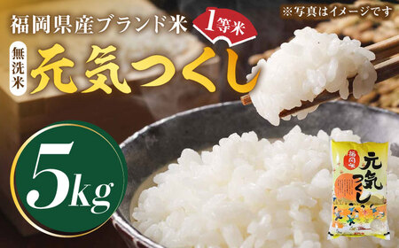 新米・令和5年産】福岡県産ブランド米「元気つくし」無洗米 5kg《築上