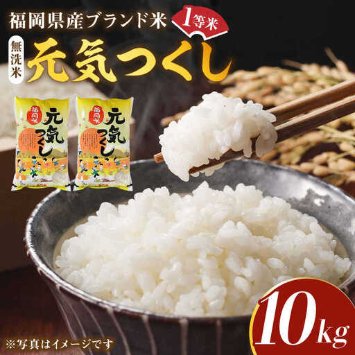 【令和7年産】福岡県産ブランド米「元気つくし」無洗米 10kg (5kg×2袋)【2025年11月以降順次発送】 [ABDD004]