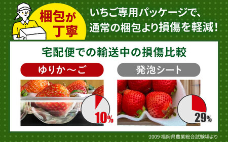 【1月上旬り順次発送】農家直送 朝採り新鮮いちご【博多あまおう】約270g×2パック [ABDG001] 