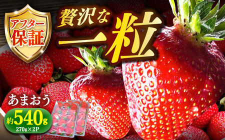 【2月1日から順次発送】農家直送 朝採り新鮮いちご【博多あまおう】約270g×2 [ABDG003]