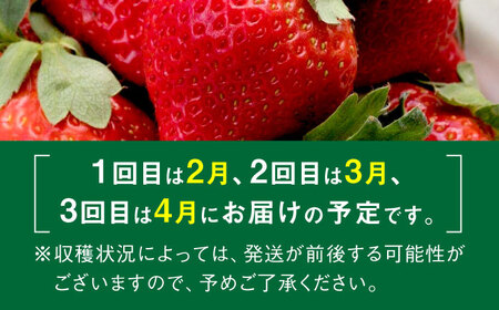 【2025年2月より順次発送】【全3回定期便】農家直送 朝どり新鮮いちご【博多あまおう】約270×2パック [ABDG008] 