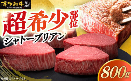 博多和牛 ヒレ シャトーブリアン 200g × 4枚 [ABCL090] 