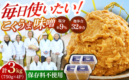かみきい味噌 熟成こくうま味噌 750g × 4パック　 味噌 みそ [ABDK001] 