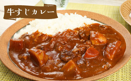 隊員食堂カレー（中辛２個・牛すじ２個）・お米600ｇセット《築上町》【NPO法人築上町観光協会】贈答 限定 レトルト 個包装 夢つくし[ABAX006] 12000円 1万2千円