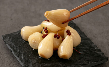 【2026年7月中旬以降順次発送】らっきょう 1.5kg（山椒）　 [ABDO004] 