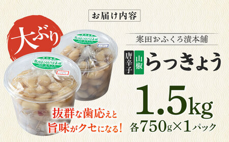 【2026年7月中旬以降順次発送】らっきょう 1.5kg（唐辛子750g・山椒750g）らっきょ ラッキョウ 辣韭 [ABDO005] 