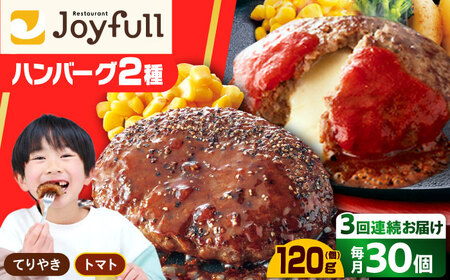 【全3回定期便】ジョイフル ハンバーグ スペシャル 詰め合わせ 2種 30個 セット [ABAA078]