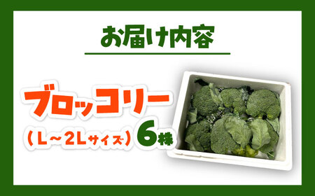 【先行予約】　【30箱限定】ブロッコリーLサイズ6株氷詰め【下田農園】 [ABDX001]