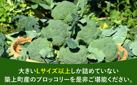 【先行予約】　【30箱限定】ブロッコリーLサイズ6株氷詰め【下田農園】 [ABDX001]