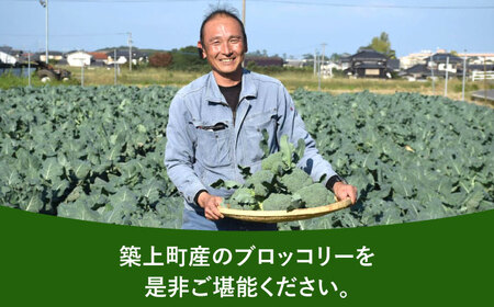 【先行予約】　【30箱限定】ブロッコリーLサイズ6株氷詰め【下田農園】 [ABDX001]