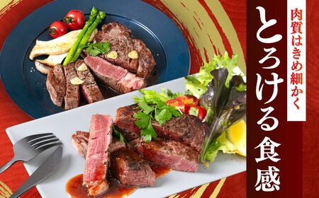 ヒレ ステーキ 200g × 2枚 [ABEN005] ヒレ肉 フィレ