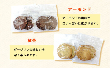 クッキー・リーフパイ13枚詰め合わせセット [ABAK005]