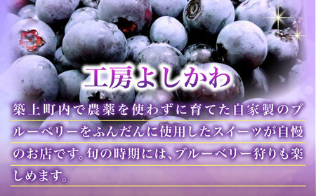 ふわふわのシフォンケーキ2種セット(プレーン、紅茶)【(有)工房よしかわ】 [ABAK006]