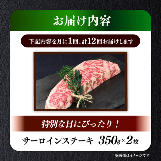 【全12回定期便】国産 博多和牛 A5ランク サーロイン ステーキ 250g×2枚 雌 ステーキ 和牛 肉 BBQ [ABEN016]