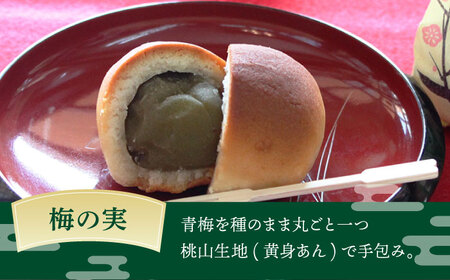 【老舗の菓子屋】築上銘菓「 梅の実 」6 個 [ABAC015]