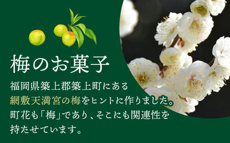 【老舗の菓子屋】築上銘菓「 梅の実 」6 個 [ABAC015]