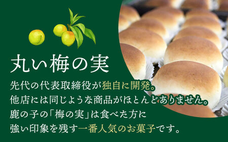 【老舗の菓子屋】築上銘菓「 梅の実 」9 個 [ABAC017]