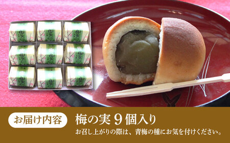 【老舗の菓子屋】築上銘菓「 梅の実 」9 個 [ABAC017]