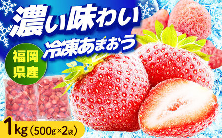 【4月以降発送】福岡産 冷凍あまおう 1kg （500g×2袋） 果物 苺 いちご あまおう[ABET001]