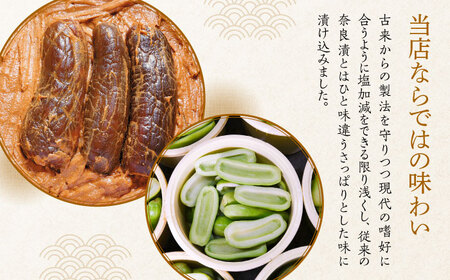 【年内発送】おつまみ 漬物 ( うり 2種 / きゅうり / 大根 ) 670g [ABAE004] 琥珀神