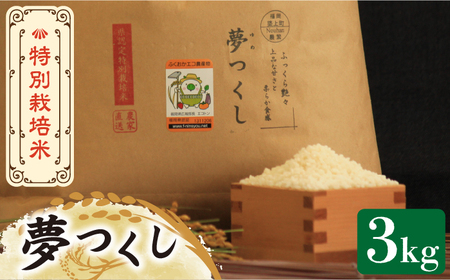 特別栽培米　福岡県産米『夢つくし』　10kg 【玄米専用】令和2年産　新米