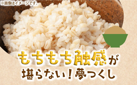 令和5年産予約受付】ひかりファーム の 夢つくし - 玄米 - 20kg《築上