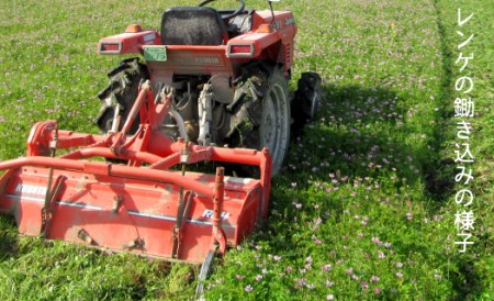 レンゲ栽培米 夢つくし 5kg 【2025年10月以降順次発送】【久楽農園】 [ABAT001] 精米 お米 こめ 白米 5kg 夢つくし