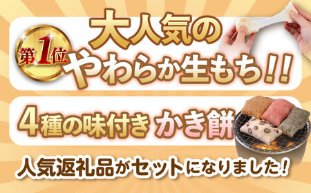 餅 【順次発送】杵つき 生もち + かき餅 セット [ABAB004] 