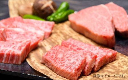 【全3回定期便】【和牛の旨味を堪能！】博多和牛焼肉用 500g 牛肉 BBQ [ABBP033] 