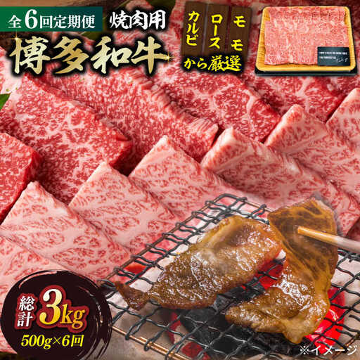 【全6回定期便】【和牛の旨味を堪能！】博多和牛焼肉用 500g 牛肉 BBQ [ABBP034]
