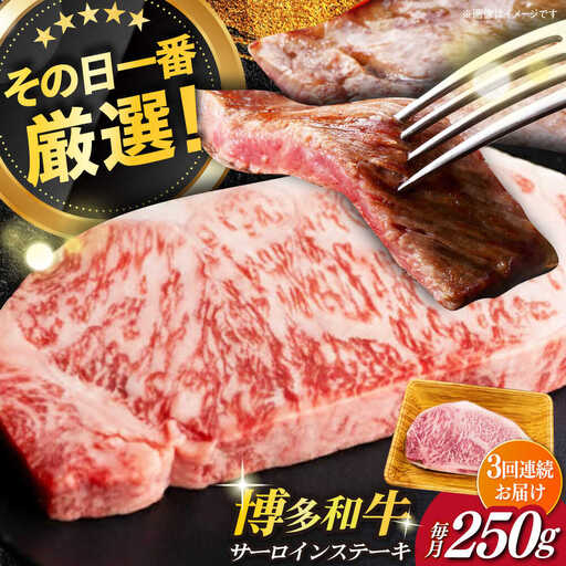 【全3回定期便】【厳選部位使用！】博多和牛A4以上サーロインステーキ250g×1枚 牛肉 肉 [ABBP045]