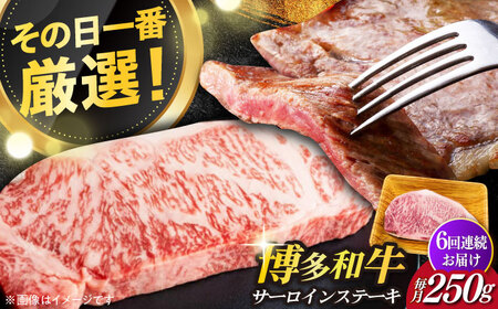 【全6回定期便】【厳選部位使用！】博多和牛A4以上サーロインステーキ250g×1枚 牛肉 肉 [ABBP046]