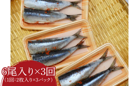 【全3回定期便】ピリ辛 いわし明太6尾 [ABCJ075] 