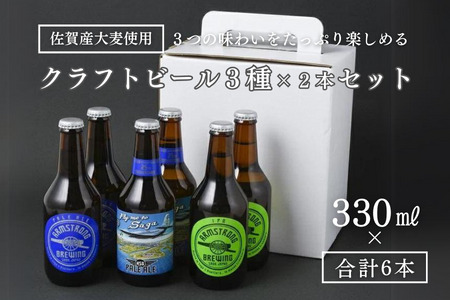 〈アームストロング〉クラフトビール6本セット：B205-001
