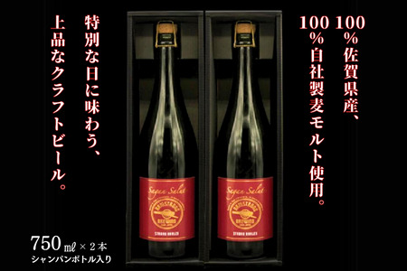 佐賀のクラフトビール〈サガン・サリュート〉ストロングバーレー 2本組：B026-016