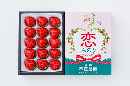 【贈答品】 特別栽培 イチゴ 恋みのり 化粧箱 （450g）×2箱 1月中旬～4月発送 苺 いちご フルーツ 果物 贈答 ギフト プレゼント 佐賀県 佐賀市：B240-025