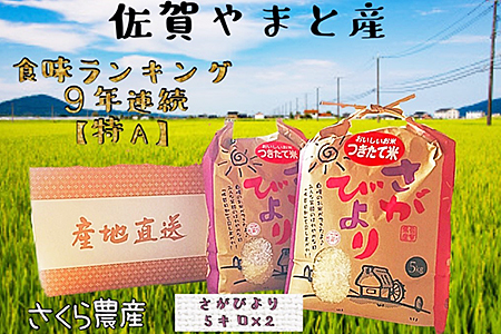 佐賀県大和産 清流米「さがびより」5kg×2：B020-035