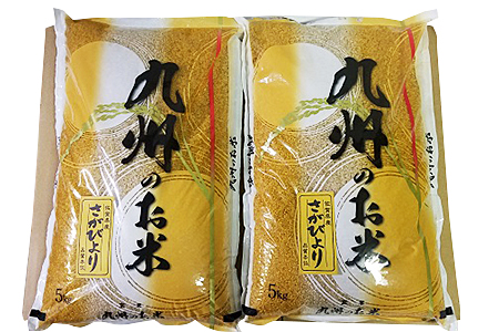 C-166a.【新米】佐賀県産「さがびより」玄米10Kg(5kg×2)