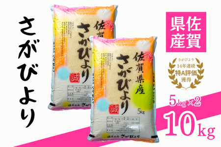 令和5年 佐賀県産「さがびより」10kg：B150-047