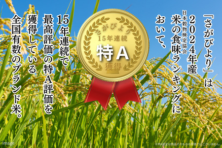新米 令和7年 佐賀県産「さがびより」10kg(5kg×2袋):B240-027