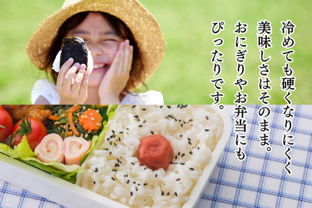 新米 令和7年 佐賀県産「さがびより」10kg(5kg×2袋):B240-027